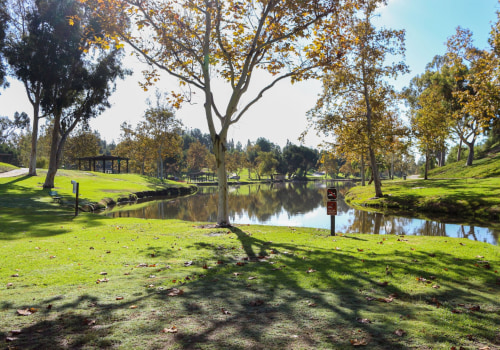 The Impact of Community Organizations in Fullerton, CA: A Comprehensive Look