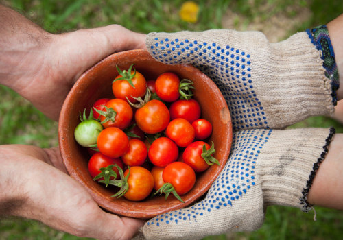 Community Organizations in Fullerton, CA: Promoting Social Justice and Equality